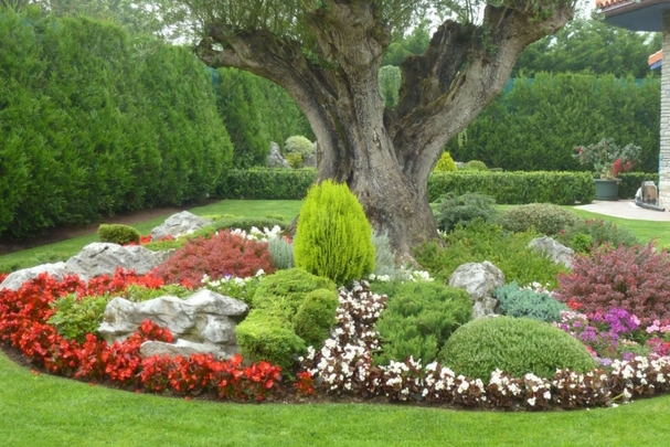 Jardinería general